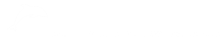 Dolphin Docks